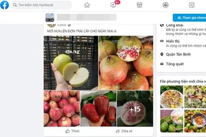 Zalo, Facebook là sàn thương mại điện tử từ năm 2022