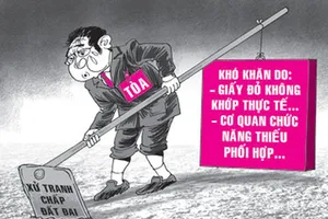 Án lệ mới về thẩm quyền giải quyết tranh chấp hợp đồng tặng cho đất