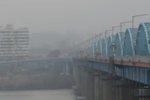 Hàn Quốc điều tra vụ viên chức ứng phó COVID-19 tự sát