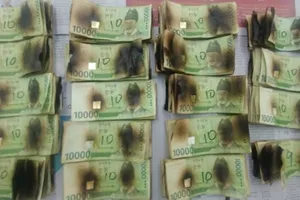 Lo COVID-19, người đàn ông Hàn Quốc bỏ tiền vào... lò vi sóng 