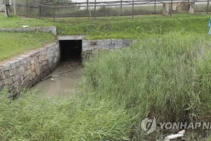 Để người Triều Tiên 'đào tẩu ngược', tướng Hàn bị bãi nhiệm