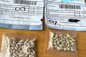 Đài Loan là điểm trung chuyển bưu kiện bí ẩn từ Trung Quốc?