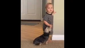 VIDEO: Hãy nựng em đi mà!