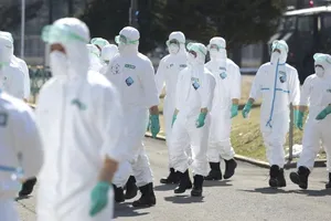 Nhật sắp hết chỗ chôn gà chết vì cúm gia cầm