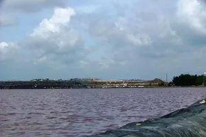 Việc tiếp nhận 2000 tấn rác giảm từ Đa Phước ra sao?