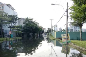 Vì sao hai cống ngăn triều ở quận 12 bị hỏng?