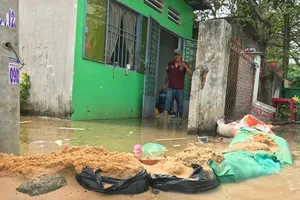 Ngập liên tiếp, tính lại cách quản lý cống ngăn triều