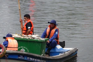 Kênh Thị Nghè “đứt đoạn”, ngăn cá chết thế nào?