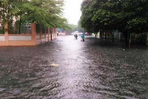  Lập đoàn giám sát dự án “hơn trăm tỉ đường vẫn ngập“