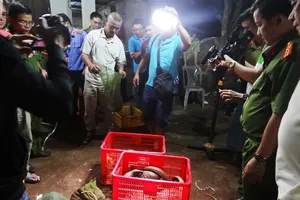 Trắng đêm giải cứu thú rừng quý hiếm ở Bình Phước