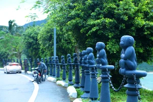 Voọc ở Sơn Trà còn bao nhiêu con?