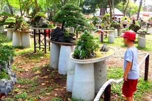 Hội hoa xuân TP.HCM-2018 có gì lạ?