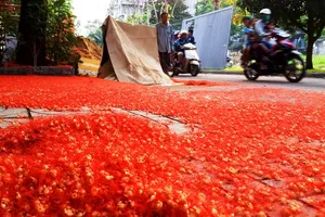  Hoa lộc vừng đỏ rực, rơi ngập đường phố ở Sài Gòn