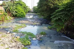  Dân kêu, muỗi dày đặc ở nơi có dự án ngăn triều