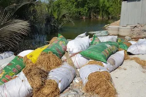 Cảnh sát giám định đống chất thải giống hệt như rơm