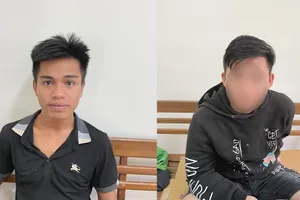 2 thanh niên bẻ hàng loạt gương chiếu hậu 'siêu xe' bị bắt