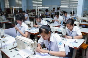 43 lao động Việt ở Nhật Bản kêu cứu