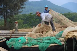 'Hơn 50 năm sống với biển, tôi chưa bao giờ chứng kiến cảnh này'