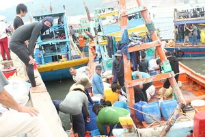 Hà Tĩnh: Ngư dân tiếp tục ra khơi kiếm sống