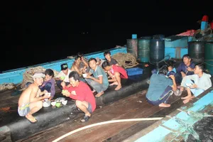 Vừa cập cảng, ngư dân Quảng Bình đã thu cả trăm triệu đồng