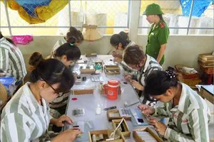 Rà soát, xử lý các cơ sở sử dụng lao động trẻ em