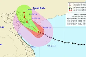 Chuẩn bị sơ tán người dân, nếu bão số 7 đổ bộ