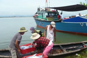 Tuyển chọn 1.300 ngư dân đi Hàn Quốc