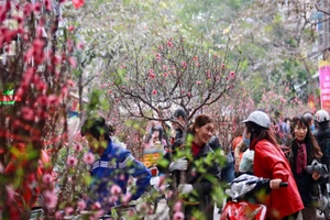 Tết Nguyên đán sẽ nghỉ 7 ngày