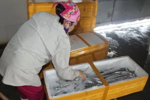 Tháng sau sẽ công bố mức an toàn cá biển tầng đáy