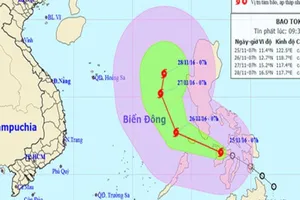 Không cấp phép cho tàu rời cảng đi vào vùng bão