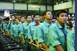 Thu hồi giấy phép xuất khẩu lao động của Công ty CIENCO