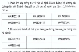 Công bố đường dây nóng phản ánh về tăng giá vé dịp lễ
