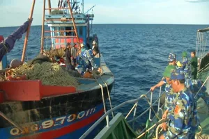 Tàu giã cào bị bắt đã bất ngờ tẩu thoát 