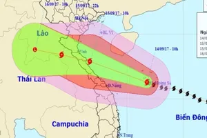 Bão số 10: Bộ GTVT yêu cầu sẵn sàng cứu nạn 