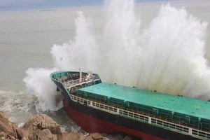 152 nhà bị sập, Bình Định xin hỗ trợ khẩn 150 tỉ đồng