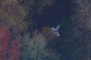 Thông tin về vụ việc phi công Việt Nam tử nạn ở Anh