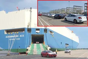 Lô hàng ô tô nhập khẩu của Honda vừa cập cảng Hiệp Phước, TP.HCM. Ảnh: MẠNH TIẾN