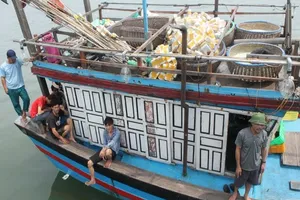 Số tiền Formosa bồi thường đã hỗ trợ gần hết cho dân