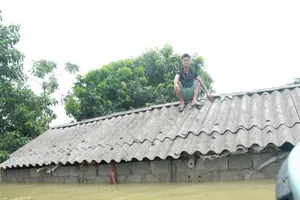 Ngập úng kéo dài, nhiều căn nhà trôi xuống sông Đà
