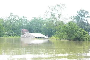 2.700 nhà dân Hà Nội vẫn ngập chìm trong lũ