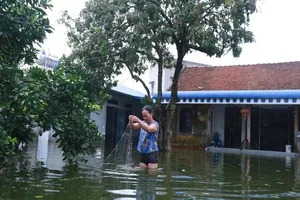 Thủ đô thành sông: Dân thả lưới sân nhà bắt cá