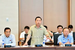 Quy hoạch: 'Chân giả đánh chết chân thật'