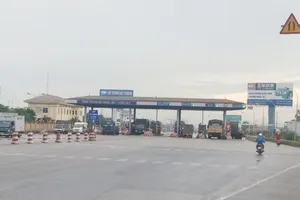 Bộ GTVT: Tổng cục xem xét cho xả trạm thu phí BOT dịp Tết