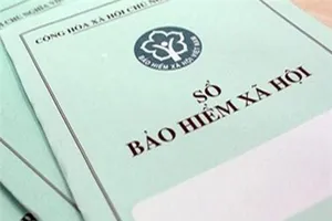 Người nước ngoài tham gia bảo hiểm xã hội như thế nào?