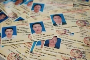 Thành lập tổ nghiên cứu quản lý giấy phép lái xe