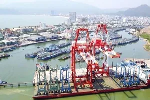 Thu hồi 75,01% cổ phần tại cảng Quy Nhơn