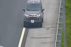 Tài xế chạy ngược chiều như bay trên cao tốc