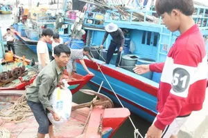 Thí điểm các gói bảo hiểm xã hội ngắn hạn