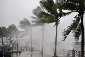 Áp thấp mạnh thành bão, Bộ GTVT ra công điện khẩn