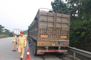 750 tài xế bị tước giấy phép lái xe vì chở quá tải